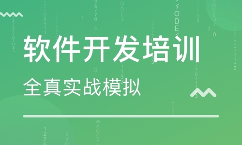 软件开发